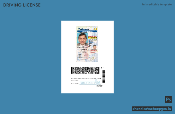 USA Delaware Beispiel für einen Führerschein unter 21 Jahren